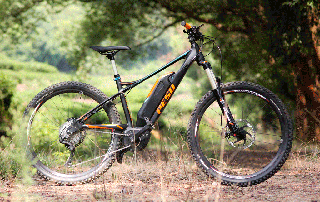 pesu electric bicycle PESU