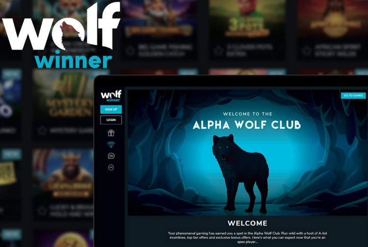 Wolf Winner Casino Interface on Mobile and Desktop