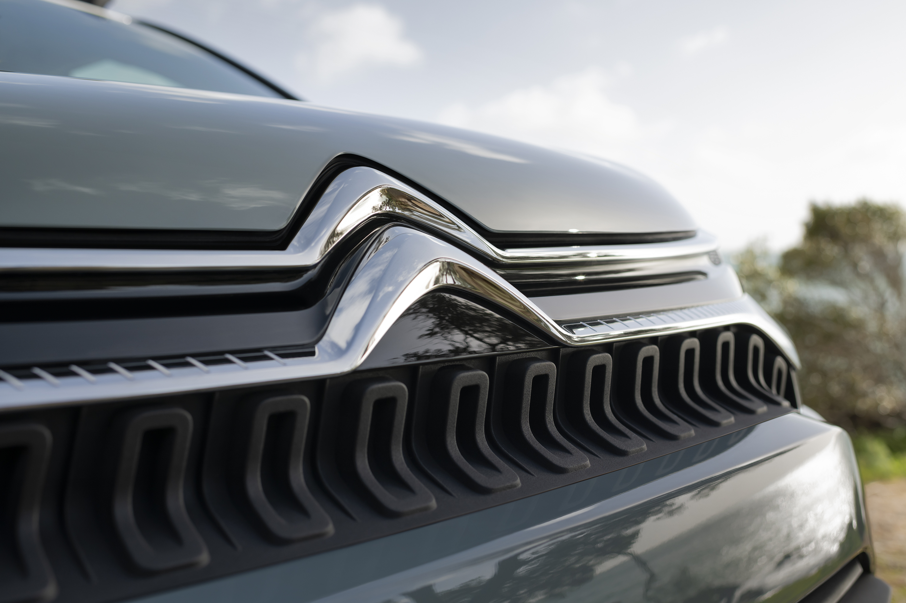 Citroen C3 Aircross 2021 - Fregio